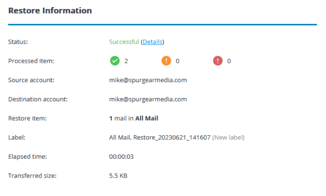 Backup & Restore Google Workspace Data with Synology Active Backup